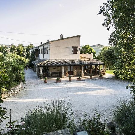 Bed and Breakfast Agriturismo Col Morino Pineto Zewnętrze zdjęcie